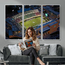 University of North Texas Mean Green Football Artwork,