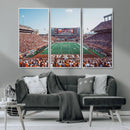 Framed Texas Memorial Stadium Canvas, University of Texas