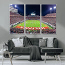 Wolfpack Football Team Print - Raleigh Carter-Finley Stadium