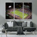Florida Atlantic University Owls Canvas Print, Football Team by MyGreatCanvas | Canvas Wall Art Prints | Photo Prints & Wall Decor