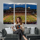 University of Illinois Fighting Illini Football Team Print -