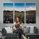 University of Charlotte 49ers Football Team Print -