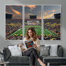University of Michigan Wolverines Print Canvas, Football