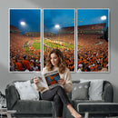 Clemson University Tigers Football Team Print - Clemson