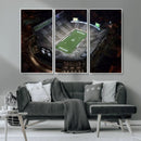 Michigan State Spartans Football Team Print - East Lansing
