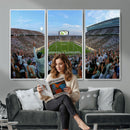 Michigan State Spartans Football Team Art Print - East