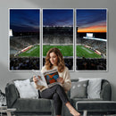 Michigan State Spartans Football Team Print - East Lansing