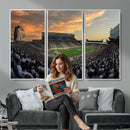 Michigan State Spartans Football Team Print - East Lansing