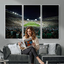 Framed Michigan State Spartans Football Team Print - East