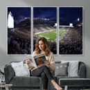 Michigan State Spartans Canvas, Framed Football Team Print -