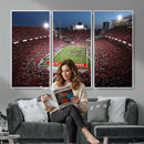 Ohio State University Buckeyes Football Team Print -