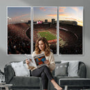 Ohio State University Buckeyes Football Team Print -