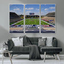 Rice University Owls Football Team Print - Houston Rice by MyGreatCanvas | Canvas Wall Art Prints | Photo Prints & Wall Decor