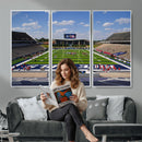 Rice University Owls Football Team Print - Houston Rice