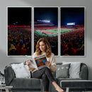 Rutgers Scarlet Knights Football Team Print - SHI Stadium,