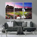 Stanford University Cardinal Football Team Print - Stanford