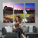 Stanford University Cardinal Football Team Print - Stanford
