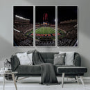 Framed Texas Tech Red Raiders Stadium Canvas, Texas Tech Red