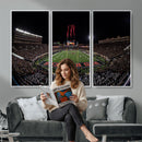 Framed Texas Tech Red Raiders Stadium Canvas, Texas Tech Red