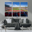 Ball State Cardinals Football Team Print - Muncie Scheumann