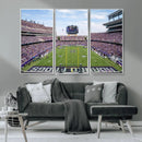 TCU Horned Frogs Football Team Print - Fort Worth Amon G.