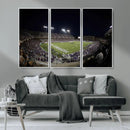 TCU Horned Frogs Football Team Print - Fort Worth Amon G.