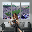 The Texas Christian University TCU Horned Frogs Football