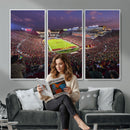 The University of Southern California USC Trojans Football