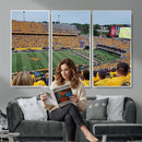 Puskar Stadium Canvas Print Wall Art - Morgantown Print -