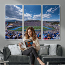 Air Force Falcons Football Team Print - Colorado Springs