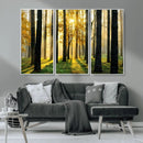 Sunlit Forest Wall Art Canvas Print – Large Framed Woodland