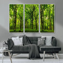 Lush Green Forest Canvas Print | 3-Panel Forest Wall Art |