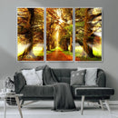 Sunshine in Forest and Trees Wall Art Canvas Print by MyGreatCanvas | Canvas Wall Art Prints | Photo Prints & Wall Decor