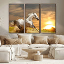 Large Wall Art Galloping White Horse at Sunset Canvas Print