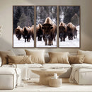 Bison Wall Art Canvas Print- Bison Herd Canvas Wall Art –