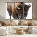 Bison Wall Art Canvas Print For Farmhouse, Wild Animal Wall by MyGreatCanvas | Canvas Wall Art Prints | Photo Prints & Wall Decor