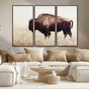 Bison in Field Wall Art Canvas Print For Farmhouse Barn