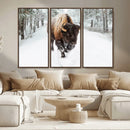 Bison Wall Art Canvas Print For Farmhouse, Animal Canvas
