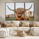 Highland Cow Animal Scottish Cattle Art Print Farmhouse Wall