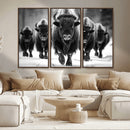 American Bison Art | Buffalo Herd Wall Art Canvas Print, BW