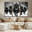 American Bison Art | Buffalo Herd Wall Art Canvas Print, BW