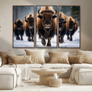 Buffalo Wall Art Canvas Print, American Bison Herd Wall Art by MyGreatCanvas | Canvas Wall Art Prints | Photo Prints & Wall Decor