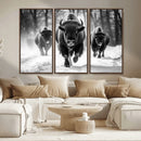 Buffalo Wall Art Canvas Print, Bison Family Wall Art Canvas by MyGreatCanvas | Canvas Wall Art Prints | Photo Prints & Wall Decor