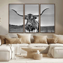 Texas Longhorn Cow Wall Art, Texas Longhorn Canvas, Cattle