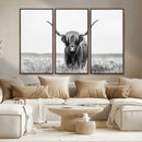 Highland Cow Canvas Wall Art – Majestic Beauty in Black and