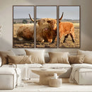 Highland Cow Canvas Wall Art Animal Print for Farm House