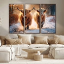 Scottish Highland Cow Horn Farm Wall Art Canvas Print by MyGreatCanvas | Canvas Wall Art Prints | Photo Prints & Wall Decor