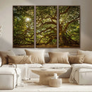 Ancient Angel Oak Tree Art Sunburst Canvas Print-