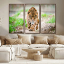 Leopard on the Prowl - Stunning Large Framed Leopard Wall