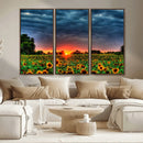 Golden Sunflower Field at Sunset – Breathtaking Sky and